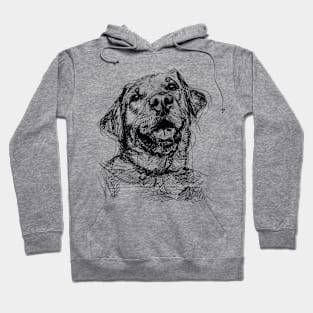 Labrador Retriever Hoodie